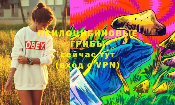 молекула духа Нея