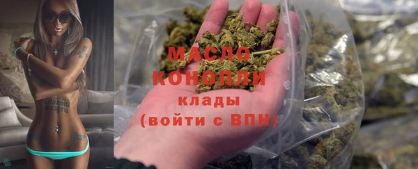 молекула духа Усинск