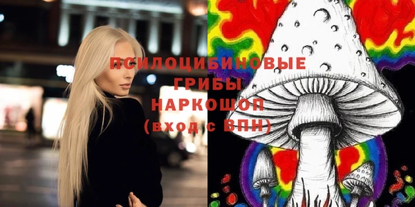 ГАЛЛЮЦИНОГЕННЫЕ ГРИБЫ Навашино